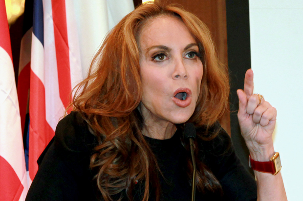 Pam Geller (AP/David Karp)