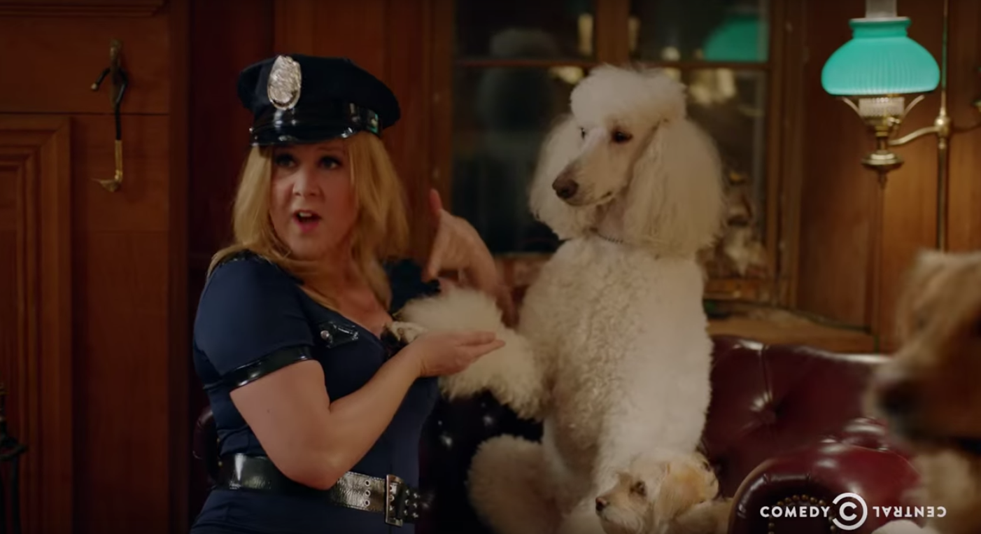 (Inside Amy Schumer)