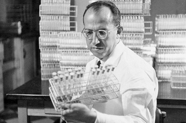 Dr. Jonas Salk  in his lab in Pittsburgh, Pa., Oct. 7, 1954. (AP)