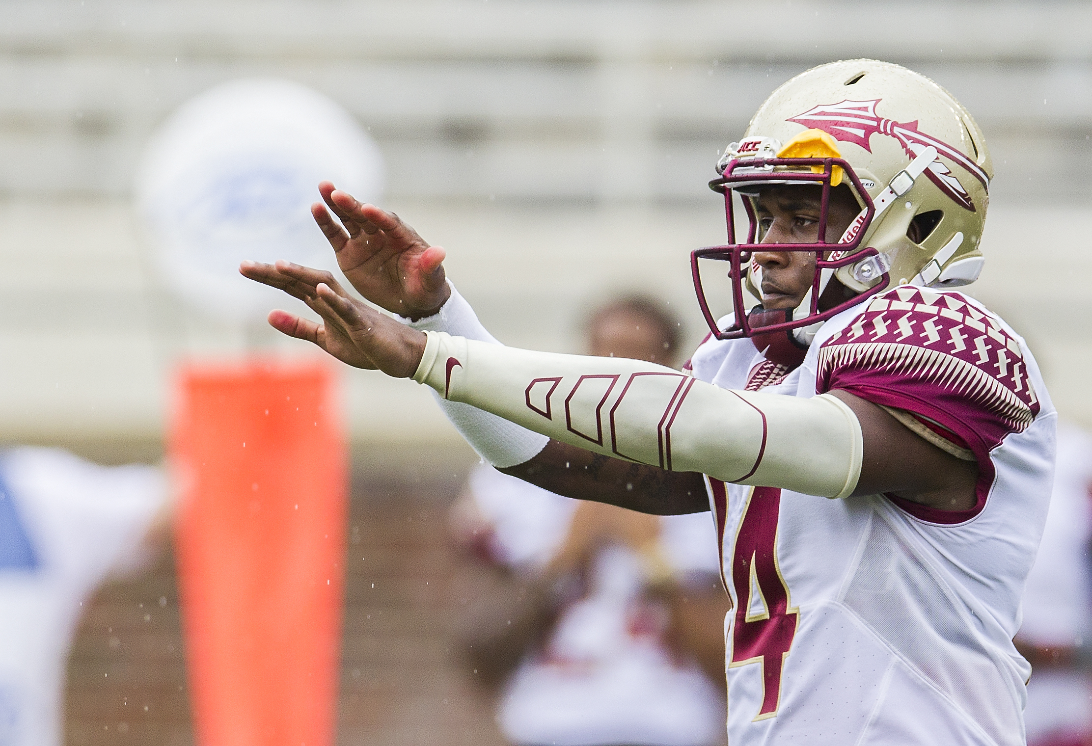 Florida State quarterback De'Andre Johnson (AP/Mark Wallheiser)