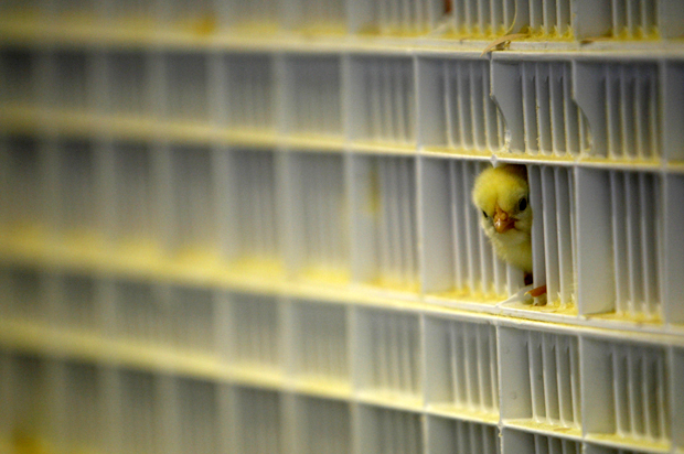 (Reuters/Tara Todras-Whitehill)