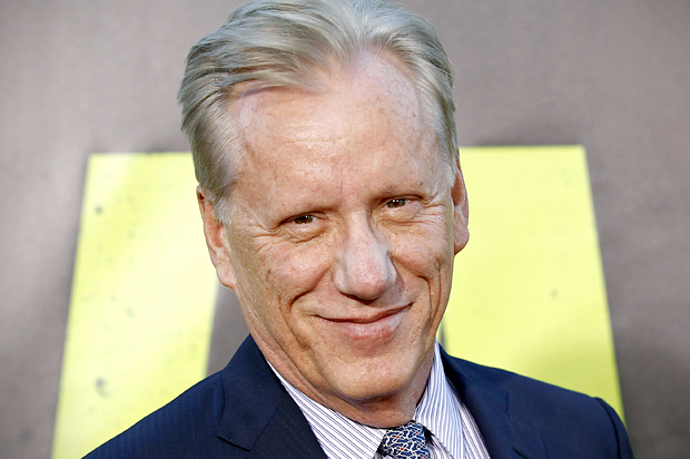 James Woods (Reuters/Danny Moloshok)