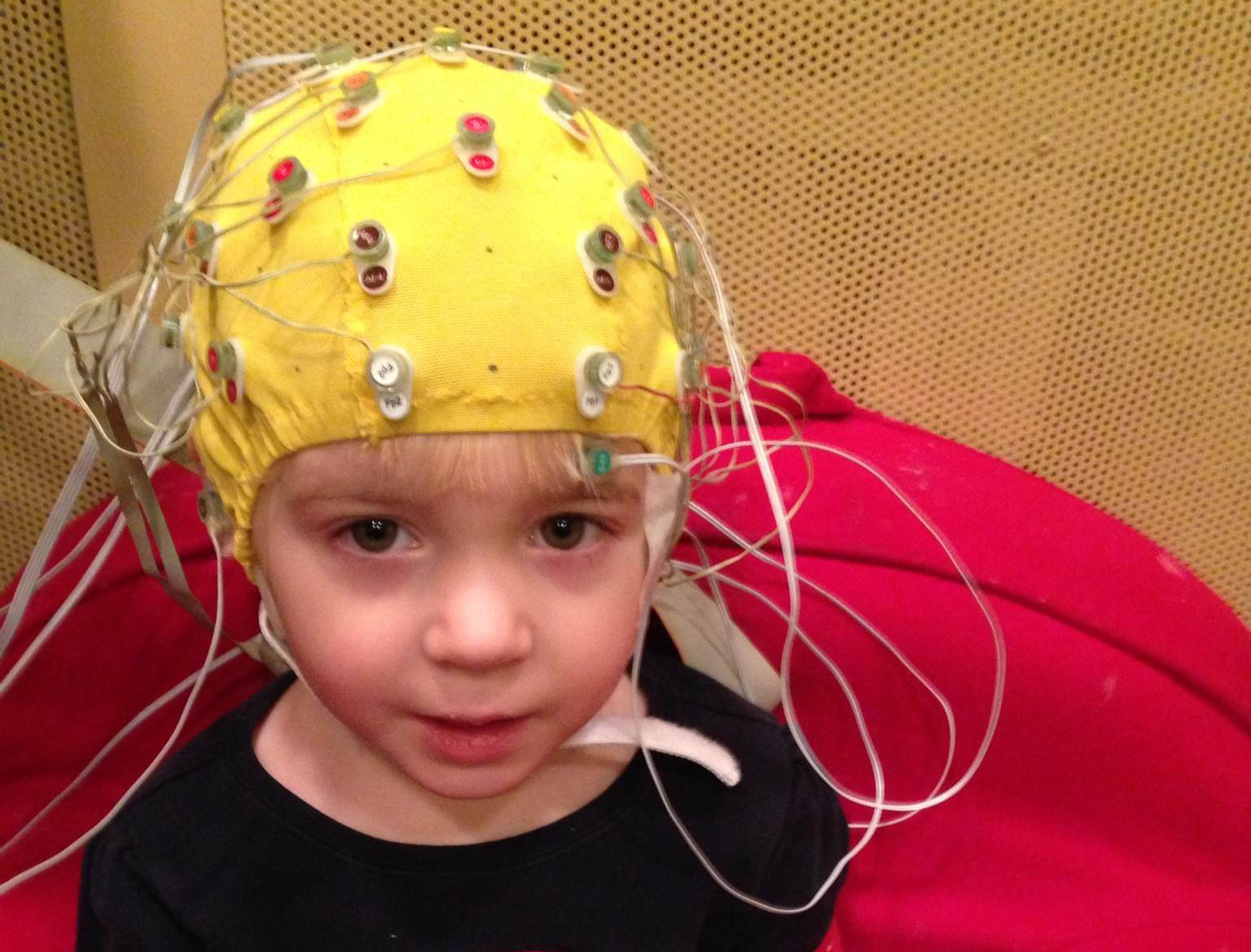 (Auditory Neuroscience Lab, Northwestern University via AP)