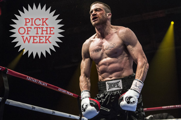 Jake Gyllenhaal in "Southpaw" (The Weinstein Company)