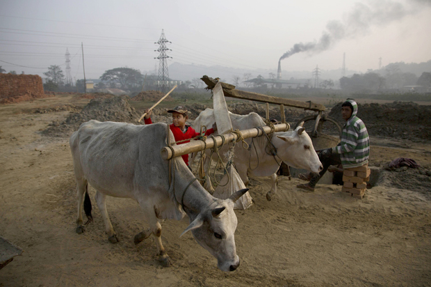 Gauhati, India, Monday, Jan. 26, 2015. (AP/Anupam Nath)