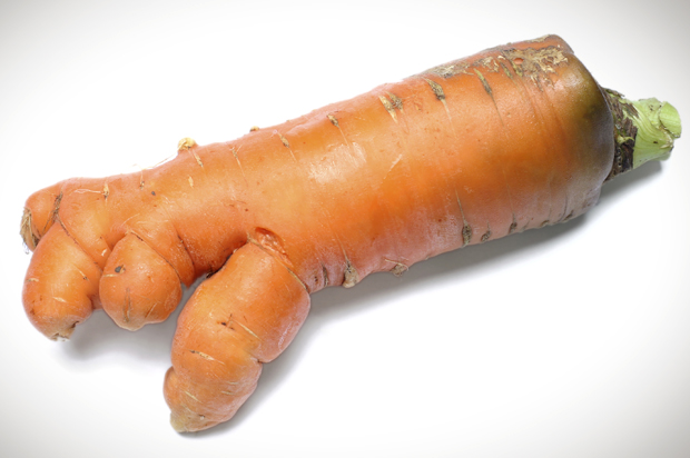 (<a href='https://secure.istockphoto.com/profile/tboyan'>tBoyan</a> via <a href='http://www.istockphoto.com/'>iStock</a>)