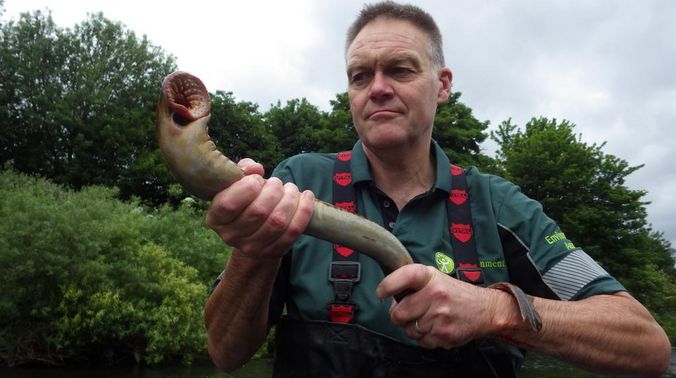 (Environment Agency)