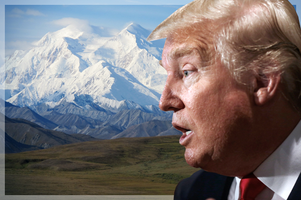 (AP/Mark Humphrey/Becky Bohrer/Photo montage by Salon)