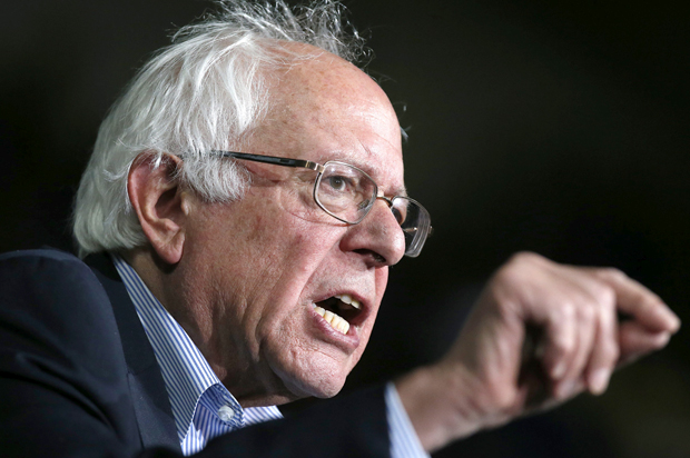 Bernie Sanders (AP/Michael Dwyer)