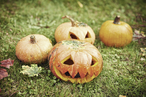 (<a href='https://secure.istockphoto.com/profile/mediaphotos'>mediaphotos</a> via <a href='http://www.istockphoto.com/'>iStock</a>)