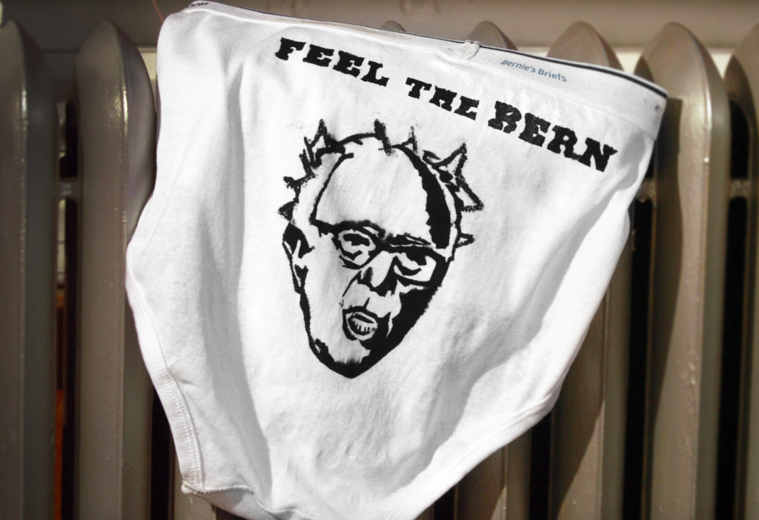 (berniesbriefs.org)