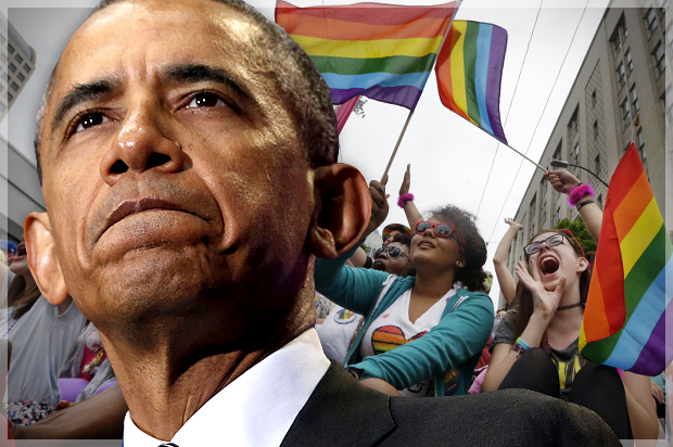 (Reuters/Jonathan Ernst/AP/Elaine Thompson/Photo montage by Salon)