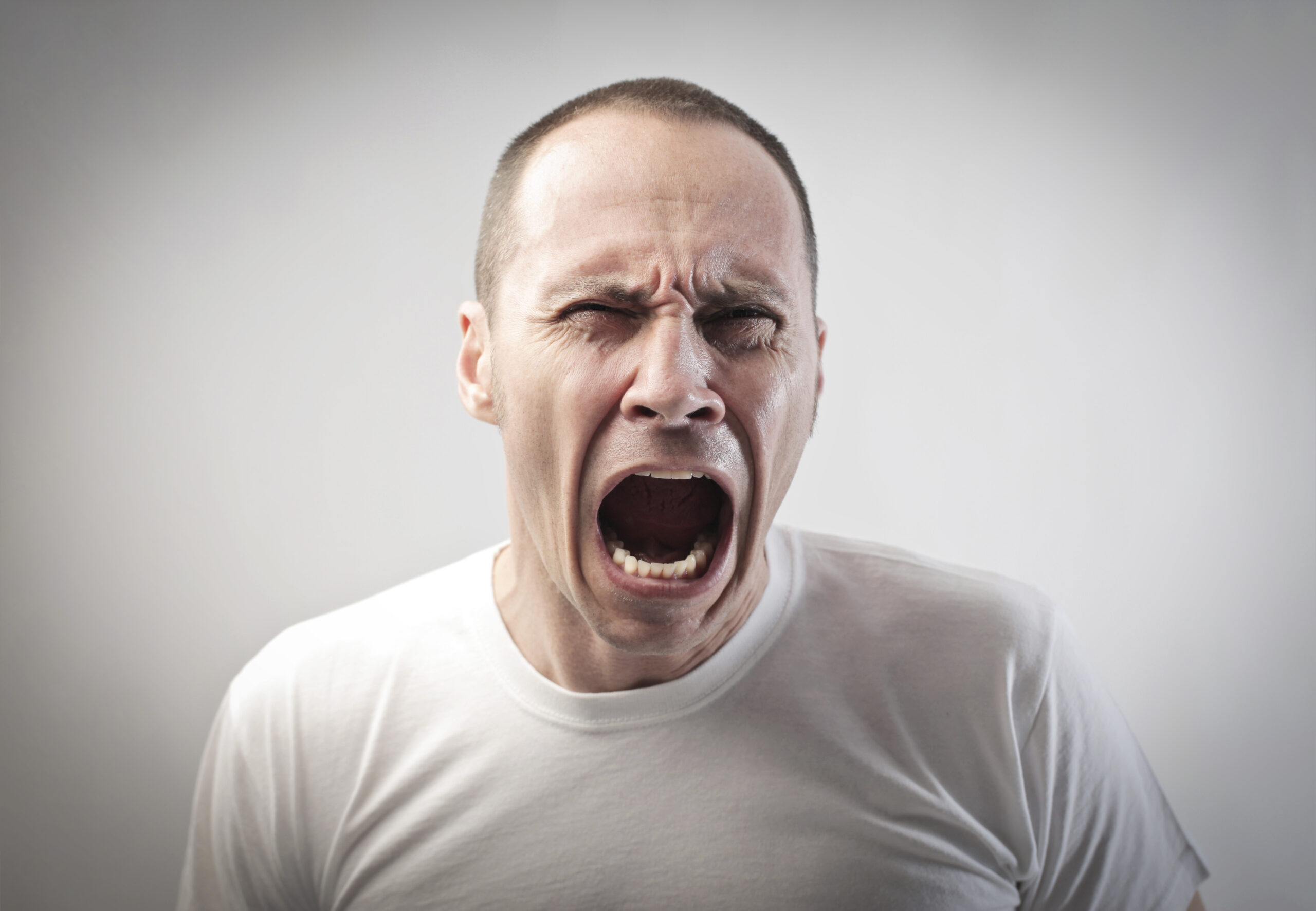 (<a href='http://www.shutterstock.com/gallery-160669p1.html'>Ollyy</a> via <a href='http://www.shutterstock.com/'>Shutterstock</a>)