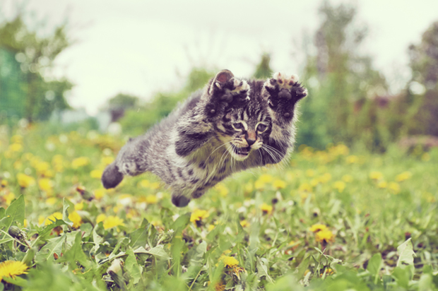 (<a href='http://www.istockphoto.com/portfolio/Remains'>Remains</a> via <a href='http://www.istockphoto.com/'>iStock</a>)