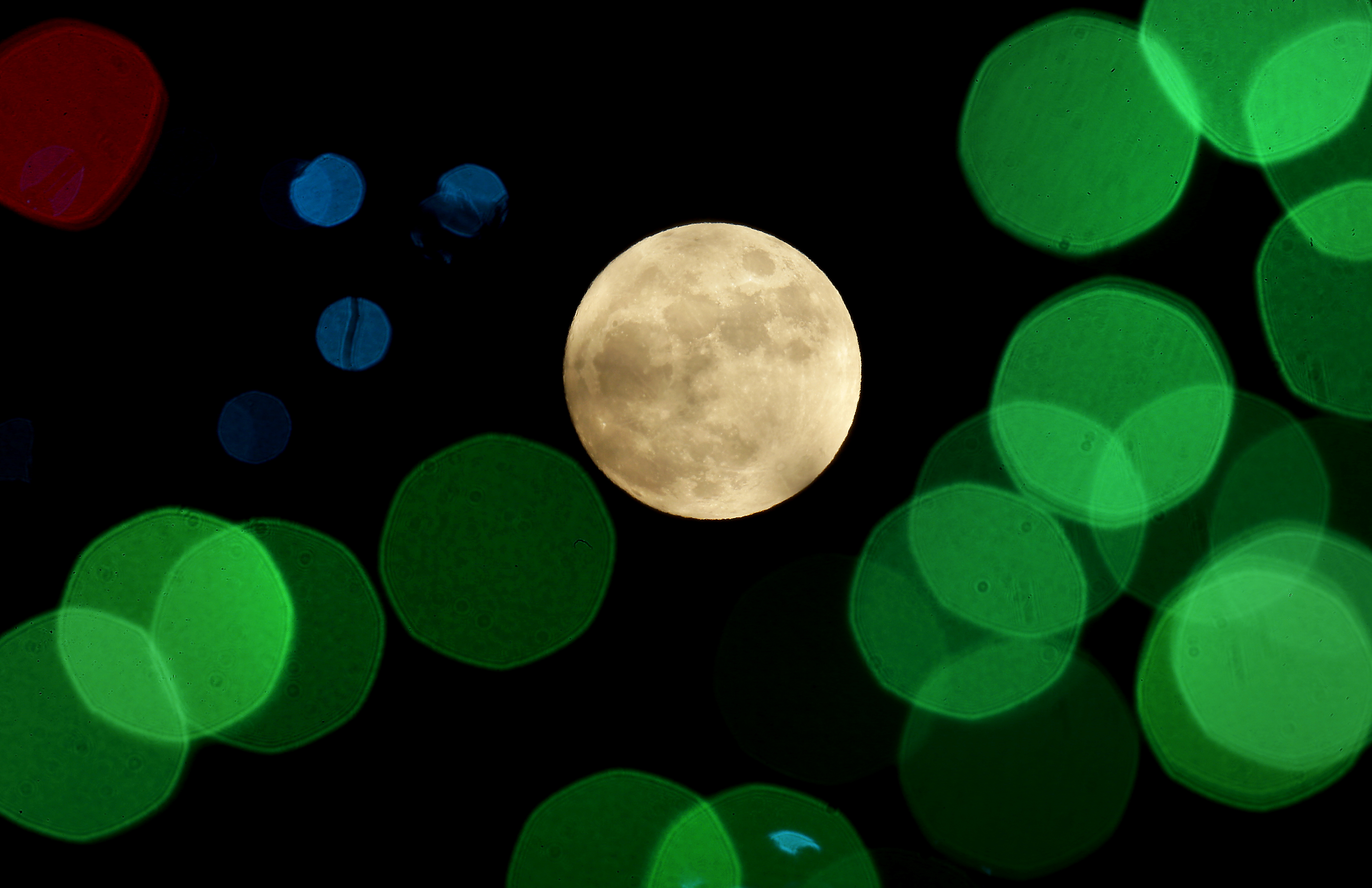 The nearly-full moon is seen among Christmas lights at a holiday display Thursday, Dec. 24, 2015, in Lenexa, Kan. When the moon turns full, at 5:11am cst., it will be the first full moon to fall on Christmas day since 1977. Named the Long Night Moon because it's the first full moon to follow the winter solstice, it's also known as the Cold Moon. (AP Photo/Charlie Riedel) (AP)