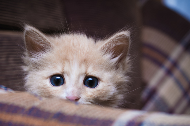 (<a href='http://www.shutterstock.com/gallery-517591p1.html'>Khamidulin Sergey</a> via <a href='http://www.shutterstock.com/'>Shutterstock</a>)