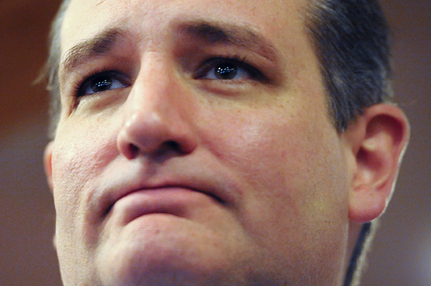 Ted Cruz (Reuters/Mark Kauzlarich)