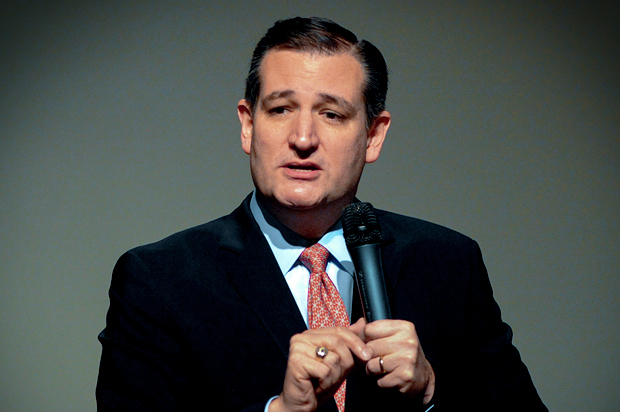 Ted Cruz (Reuters/Mark Kauzlarich)