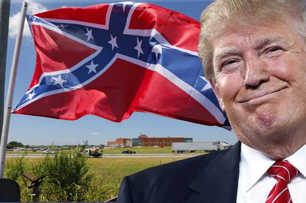 (AP/John Locher/Sue Ogrocki/Photo montage by Salon)