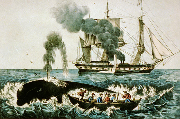 (Wikimedia)