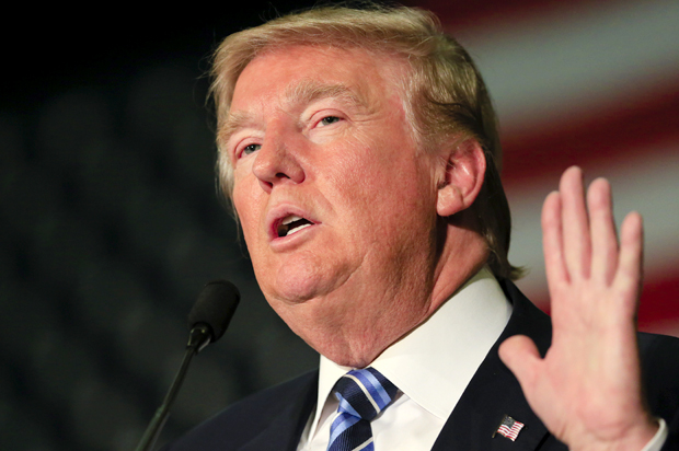 Donald Trump (AP/Nati Harnik)