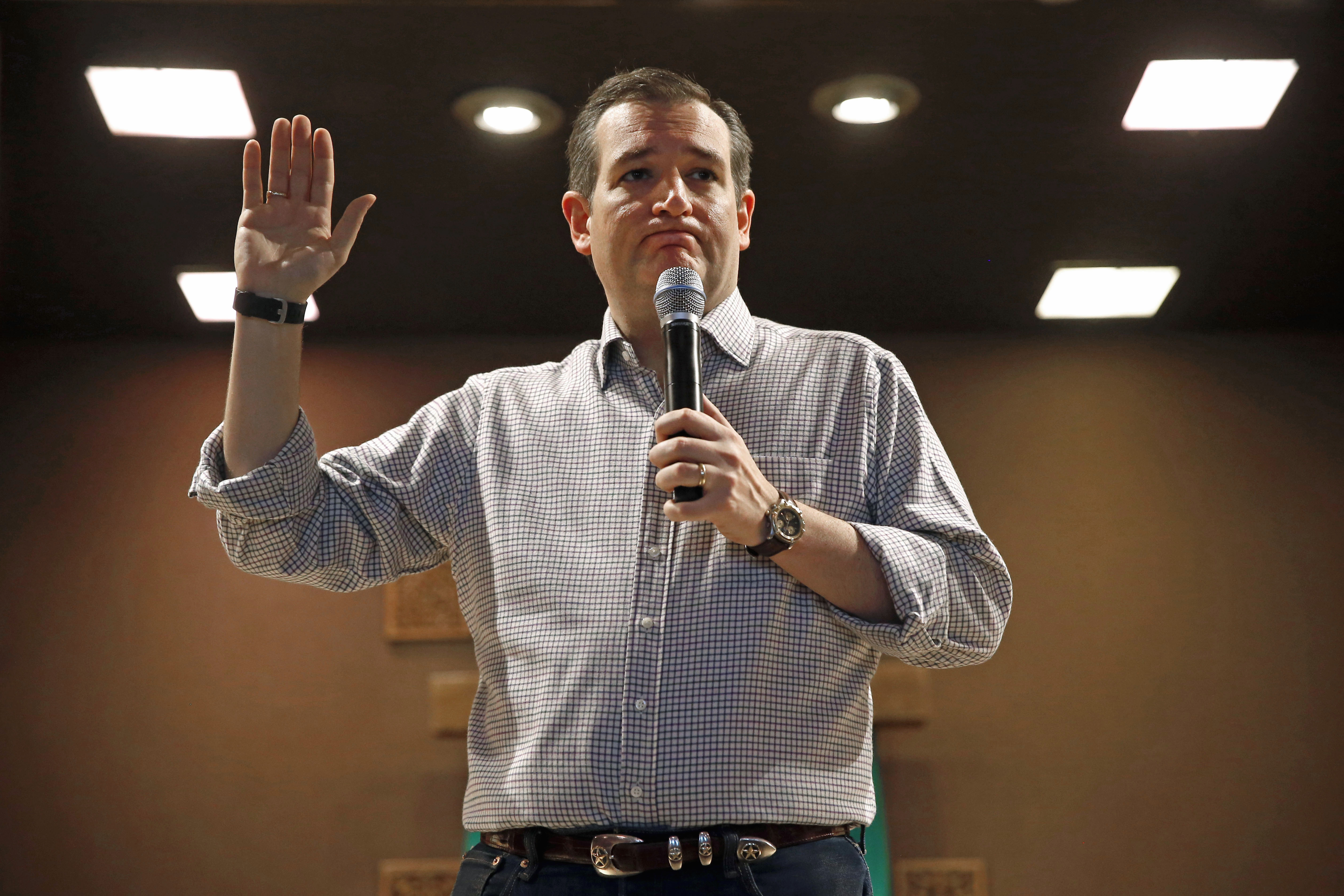 Sen. Ted Cruz(AP Photo/) (AP/Patrick Semansky)