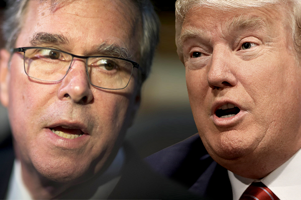 Jeb Bush, Donald Trump (AP/David Goldman/Reuters/Nati Harnik)