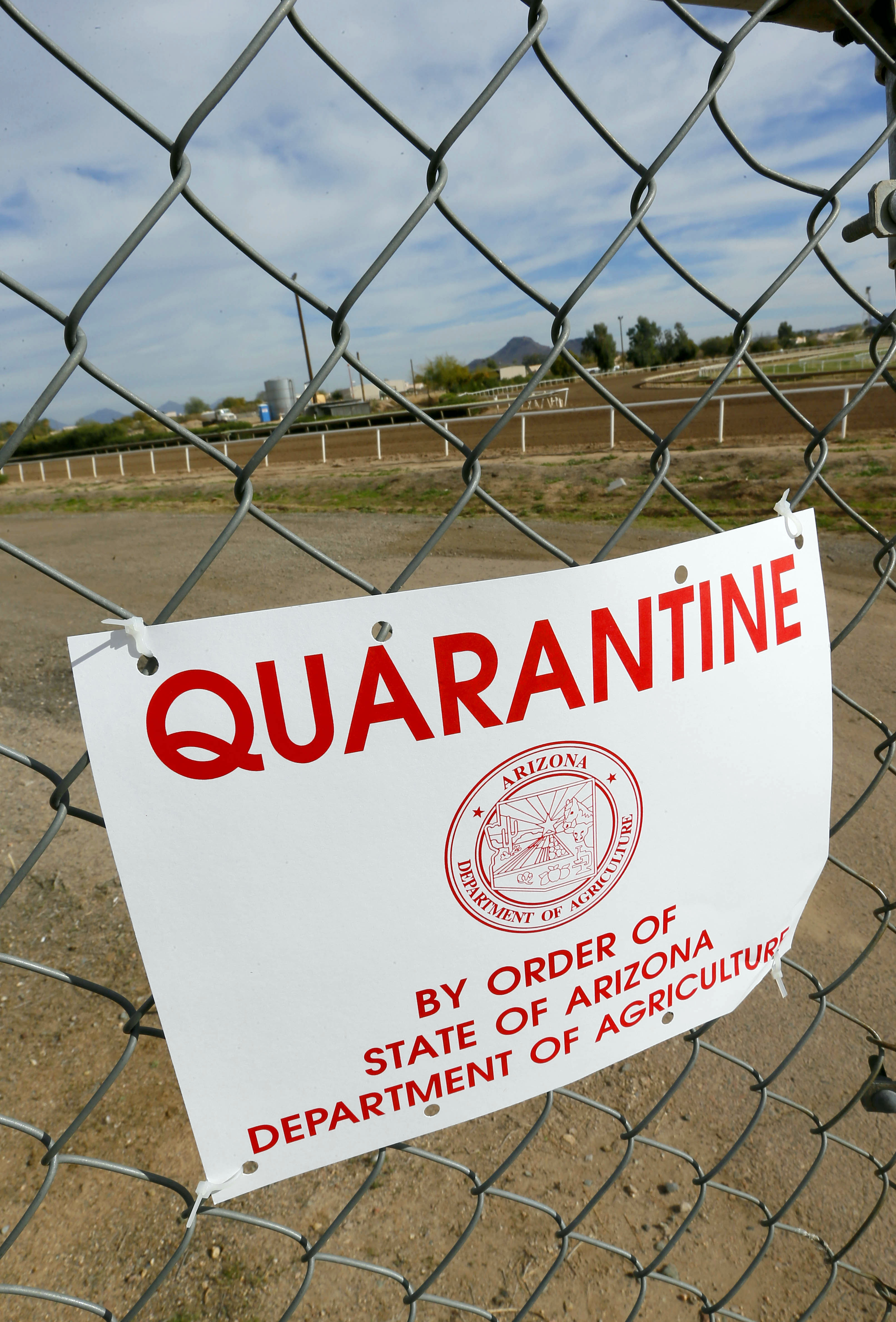 A quarantine warning is displayed outside the horse racing track at Turf Paradise, Friday, Jan. 29, 2016, in Phoenix. Turf Paradise has euthanized one horse and is quarantining two others in the wake of a herpes outbreak that surfaced in New Mexico.(AP Photo/Matt York) (AP)
