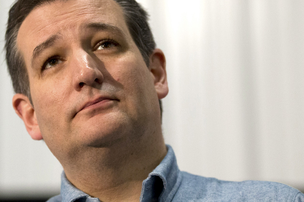 Ted Cruz (AP/Jae C. Hong)