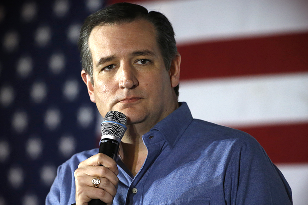 Ted Cruz (AP/Matt Rourke)
