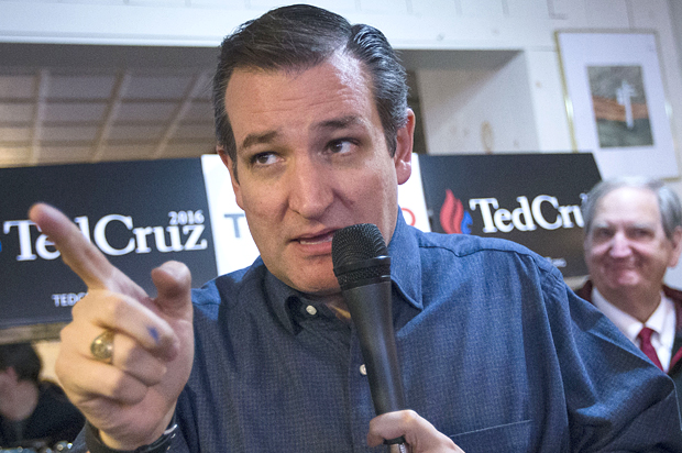 Ted Cruz (AP/John Minchillo)