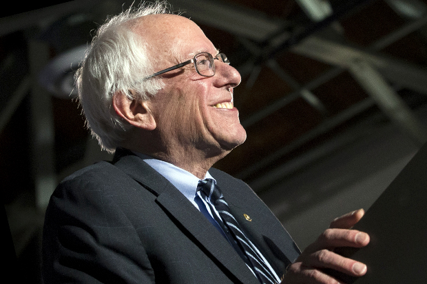 Bernie Sanders (AP/John Minchillo)