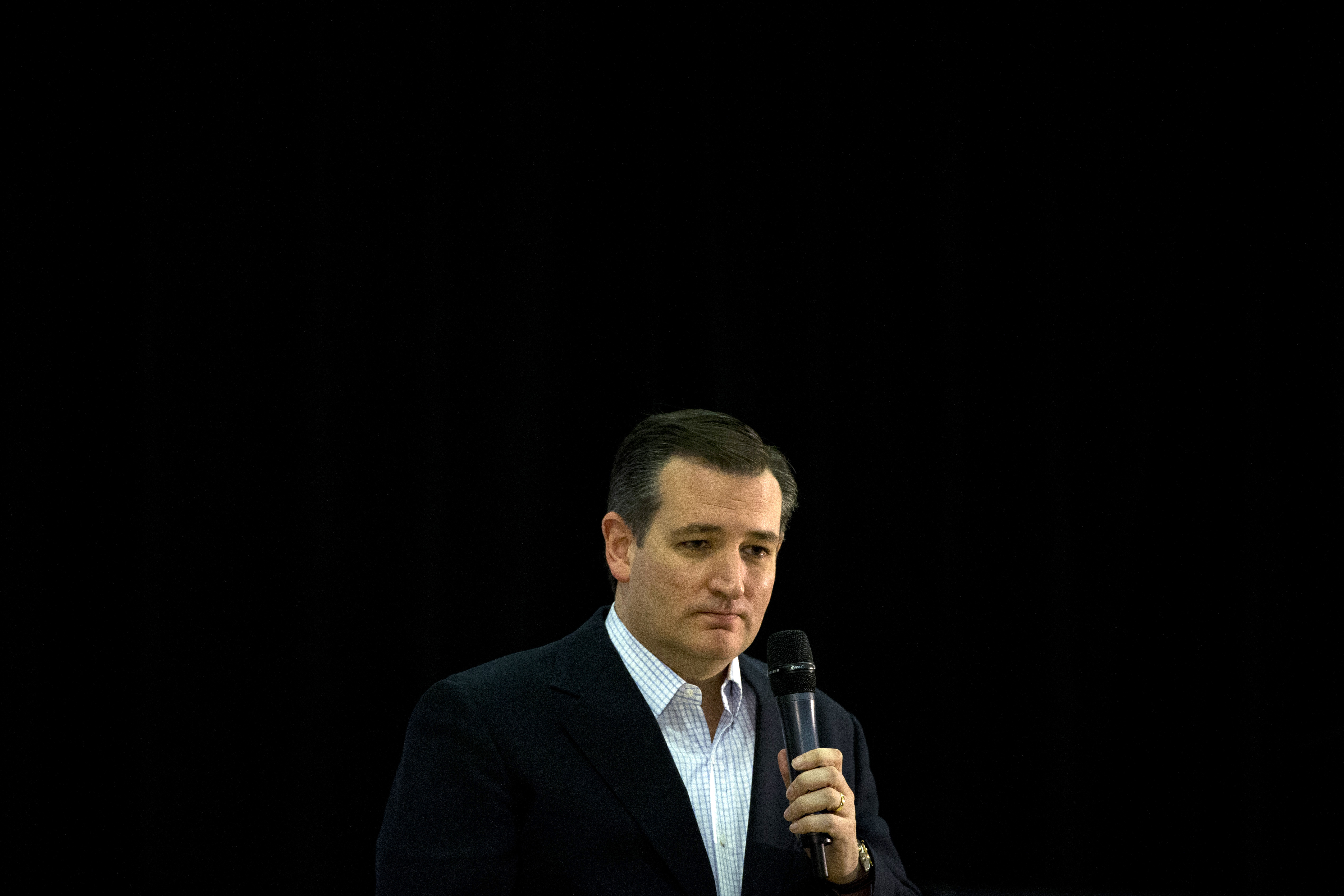 Ted Cruz (AP/Jae C. Hong)