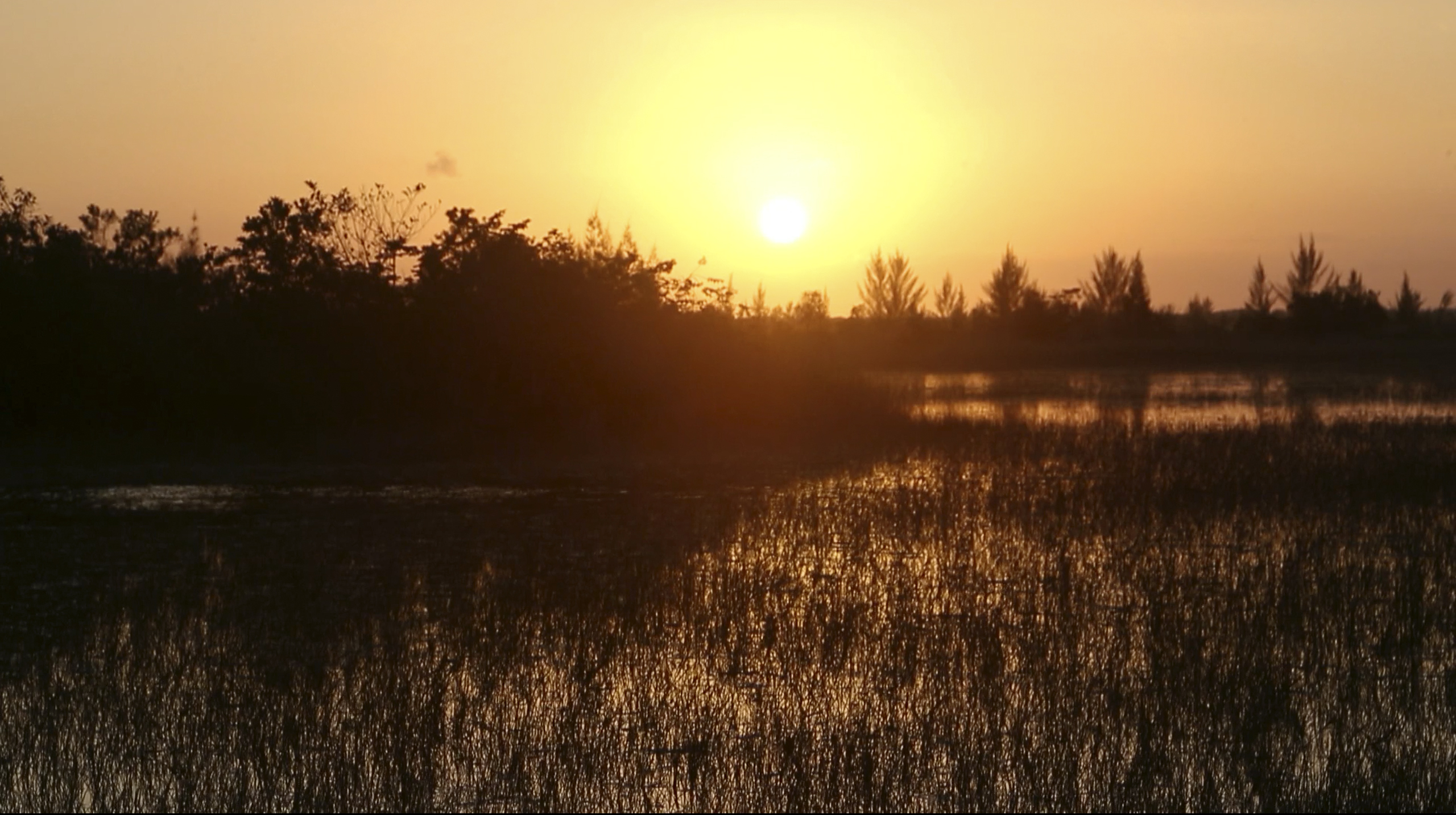 In this image made from video, the sun sets near an industrial park next to the Florida Everglades, Tuesday, Feb. 23, 2016, in Miami. (AP Photo/Wilfredo Lee) (AP)