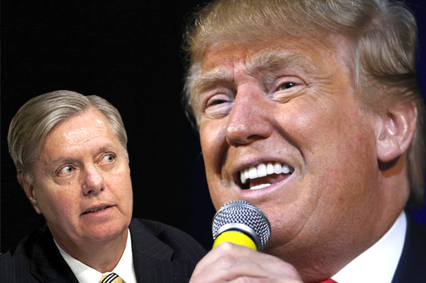 Lindsey Graham, Donald Trump (AP/Cliff Owen/Reuters/Jonathan Ernst/Photo montage by Salon)