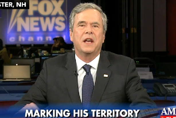 Jeb Bush (Credit: Fox News)