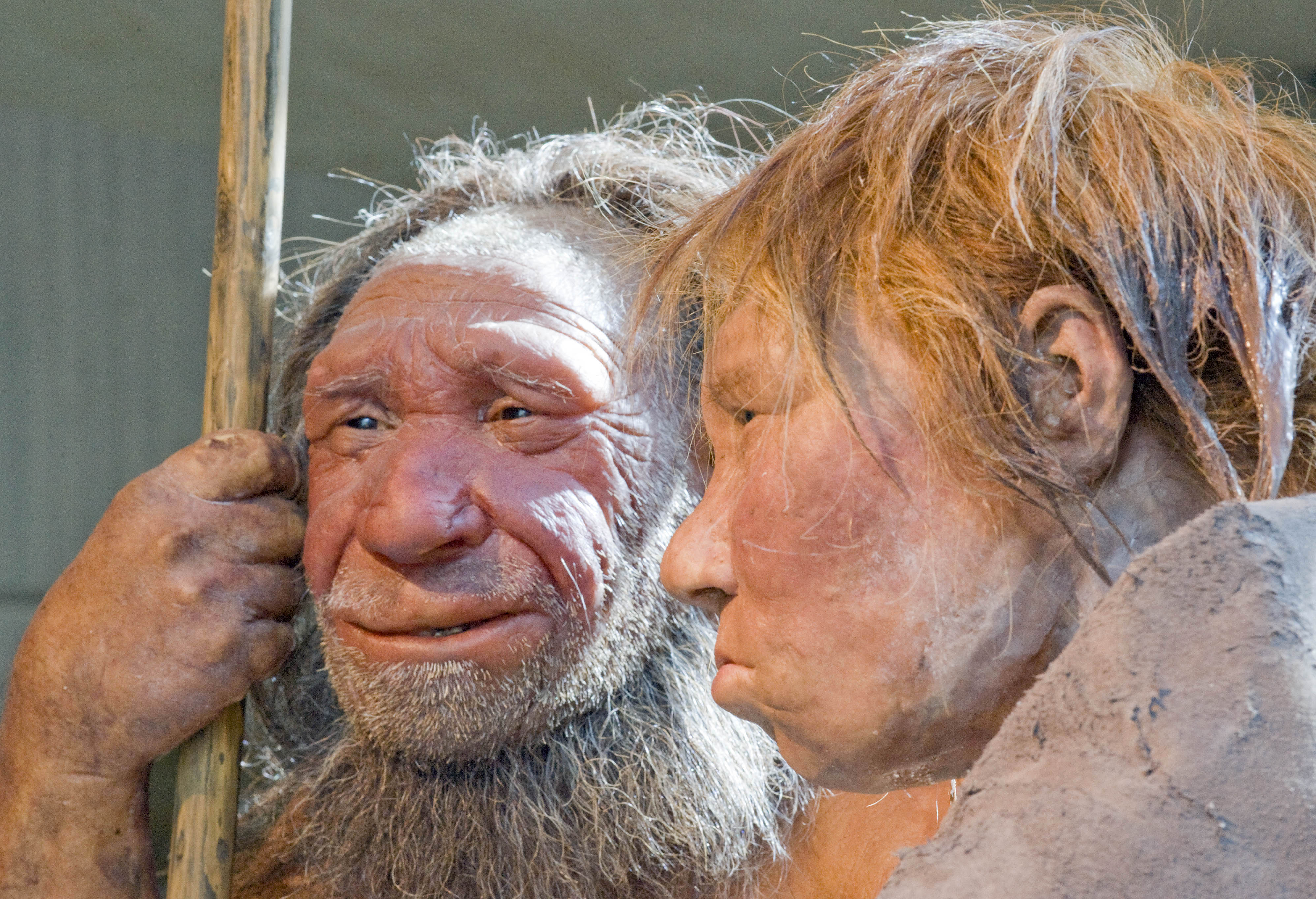 FILE - This Friday, March 20, 2009 file photo shows reconstructions of a Neanderthal man, left, and woman at the Neanderthal museum in Mettmann, Germany. A new study released by the journal Science on Thursday, Feb. 1, 2016 says a persons risk of becoming depressed or hooked on smoking may be influenced by DNA inherited from Neanderthals. (AP Photo/Martin Meissner) (AP)