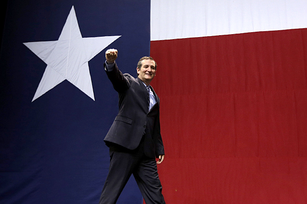 Ted Cruz (AP/David J. Phillip)