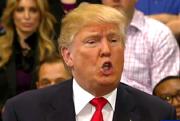 Donald Trump (Credit: Fox News)