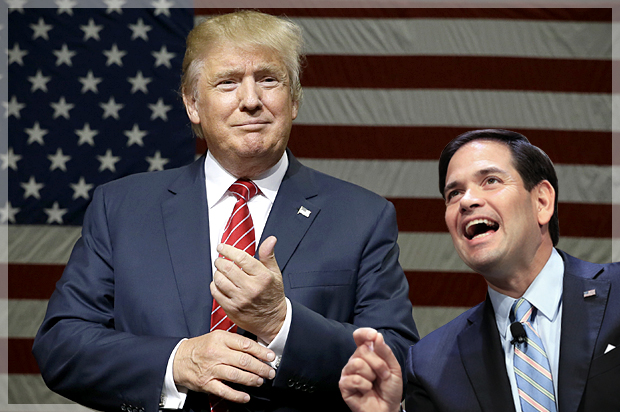 Donald Trump, Marco Rubio (AP/LM Otero/Nati Harnik/Photo montage by Salon)