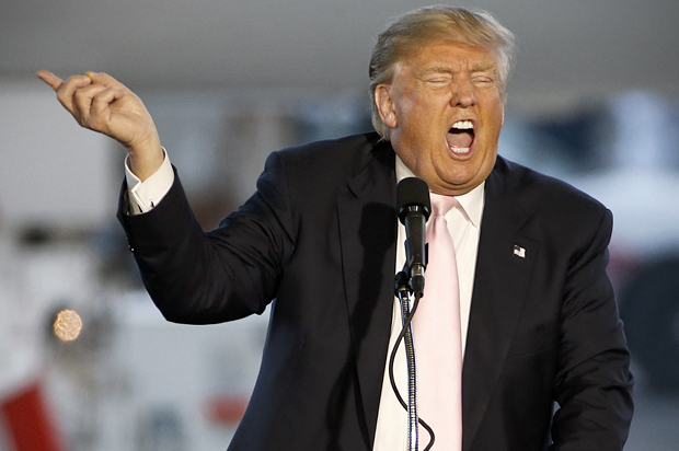 Donald Trump (AP/Gene J. Puskar)