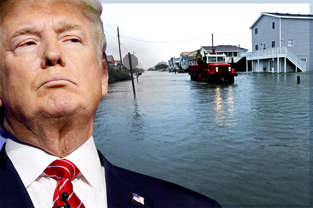 Donald Trump (AP/Reuters/Rick Wilking/Gerry Broome/Photo montage by Salon)