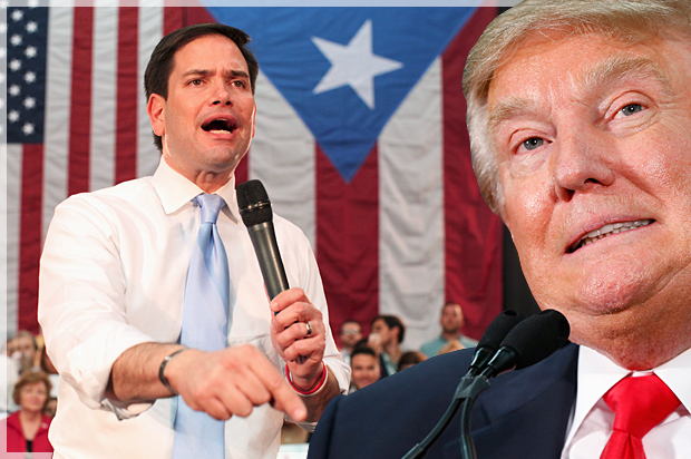 Marco Rubio, Donald Trump (Reuters/Alvin Baez/AP/Paul Sancya/Photo montage by Salon)