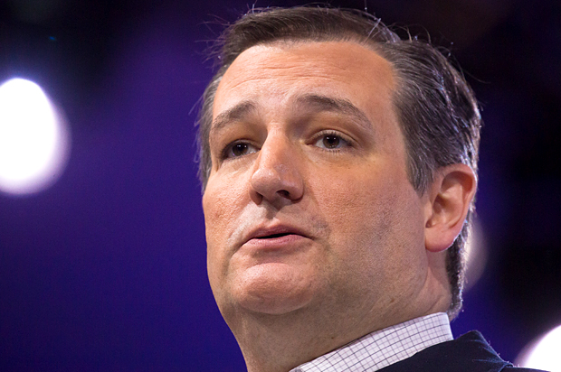 Ted Cruz (Jeff Malet, maletphoto.com)