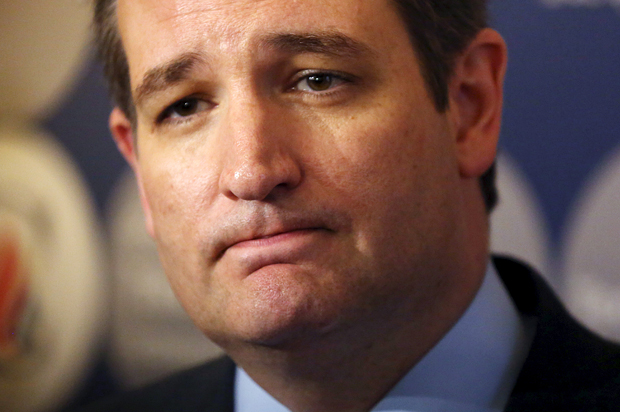 Ted Cruz (Reuters/Pearl Gabel)