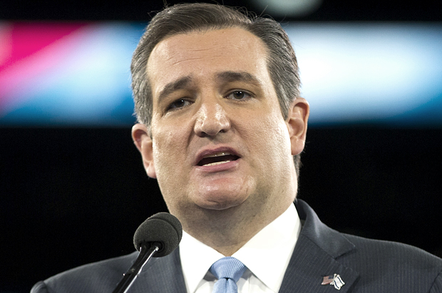 Ted Cruz (AP/Evan Vucci)