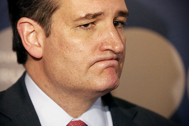 Ted Cruz (Reuters/Pearl Gabel)