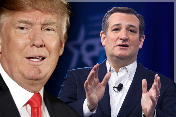 Donald Trump, Ted Cruz (AP/Charlie Neibergall/Jeff Malet, maletphoto.com/Photo montage by Salon)