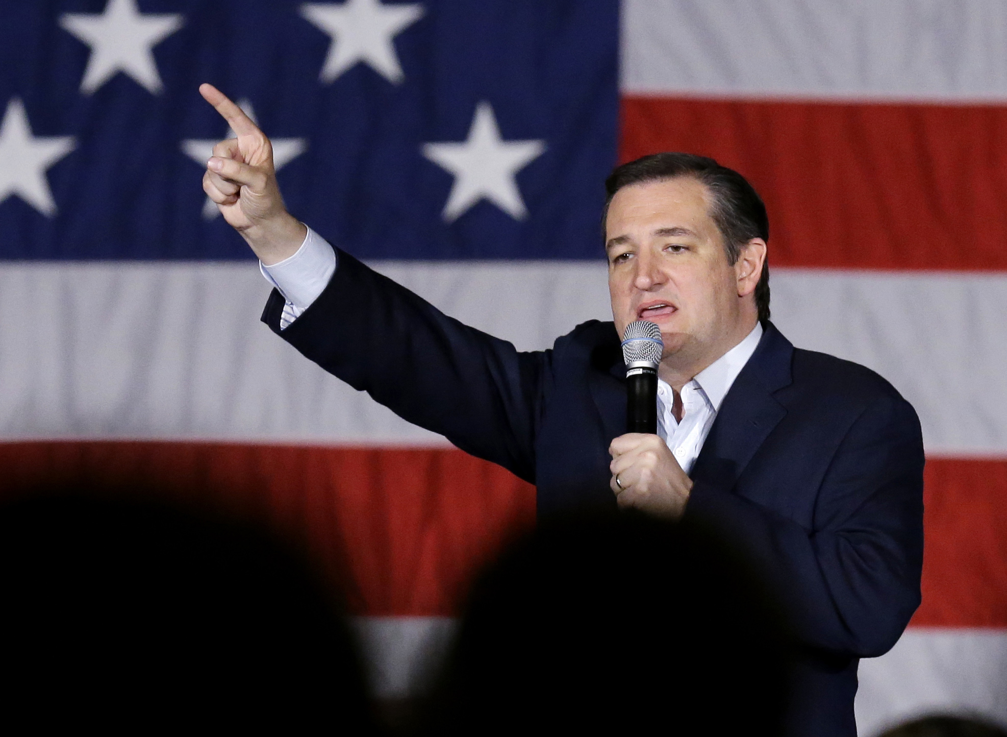 Ted Cruz (AP/Nam Y. Huh)