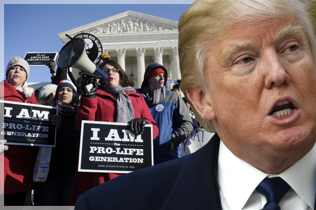 Donald Trump (Reuters/Jim Bourg/AP/Susan Walsh/Photo montage by Salon)